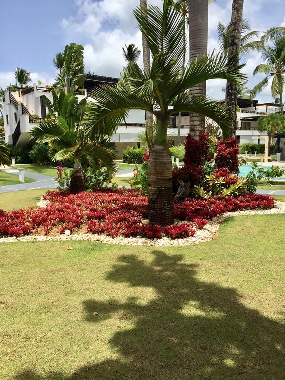 Aligio Beachfront Paradise Las Terrenas Bagian luar foto